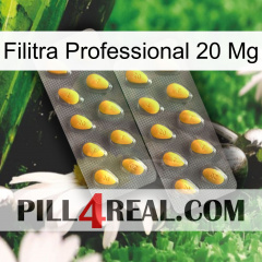 Filitra Professional 20Mg cialis2
